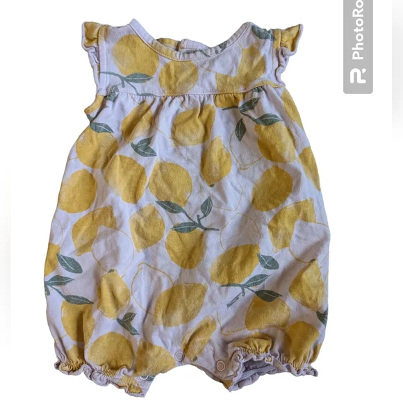 2/$10 9 mo Carters botanical outfit lot - Picture 5 of 7